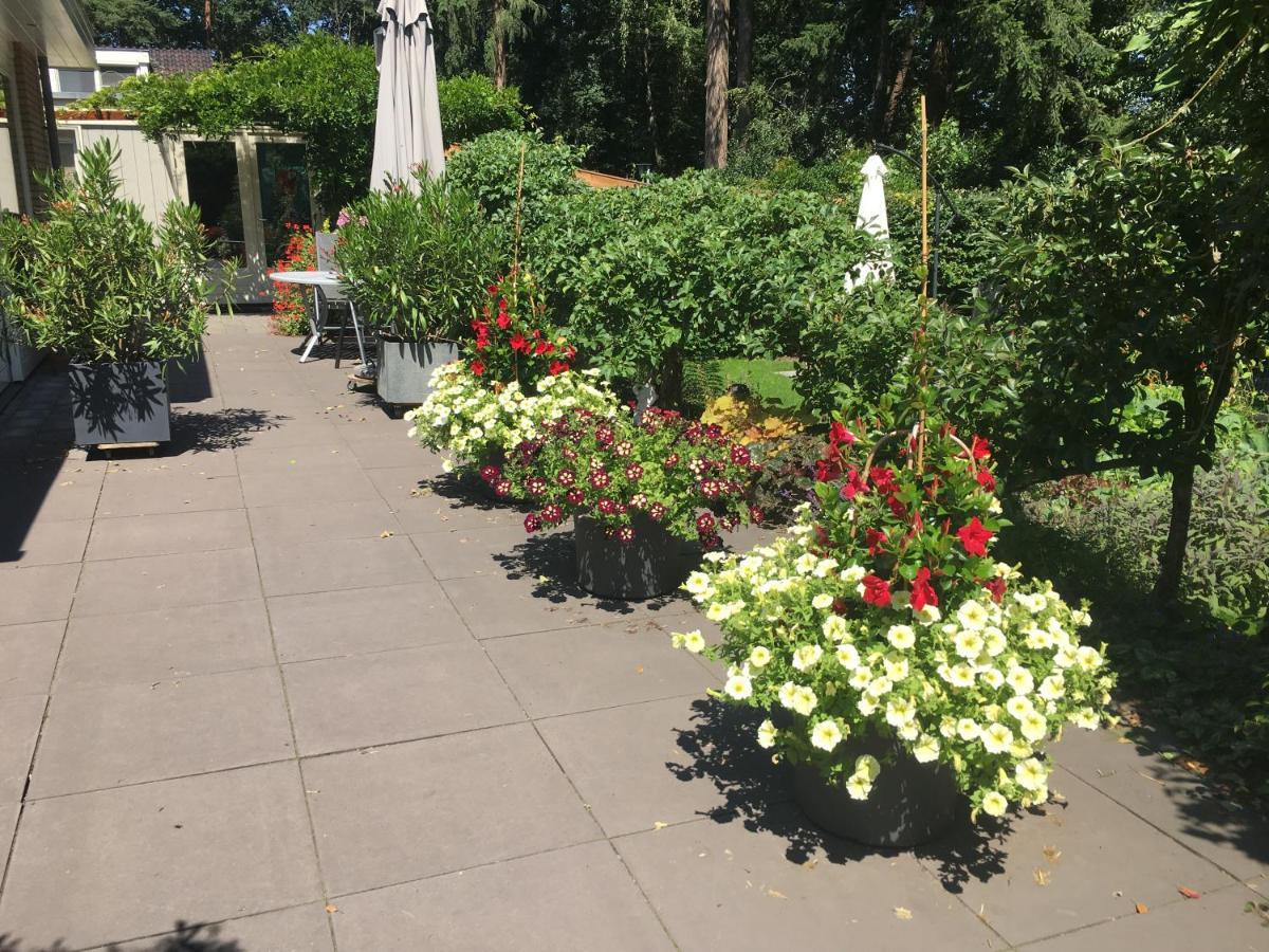 Porcini Bed & Breakfast Ermelo